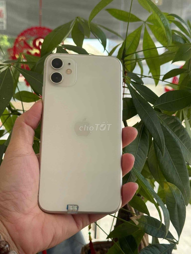 Apple iPhone 11 64GB Trắng. Mua bán Điện thoại tại Huyện Long Điền Bà Rịa - Vũng Tàu được đăng bởi Iphone Hiền Nguyễn7979  hình 1