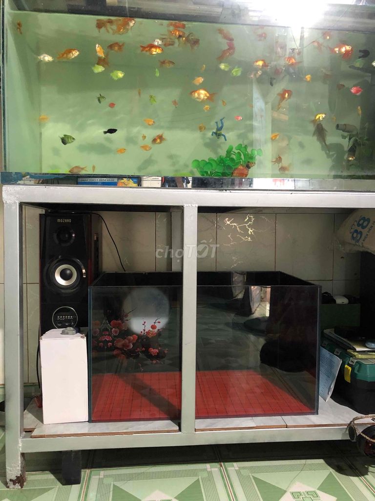 Bể cá cảnh Kính 8li 70x40x40cm. Mua bán Phụ kiện, Thức ăn, Dịch vụ tại Huyện Nhơn Trạch Đồng Nai được đăng bởi nguyen linh hình 1
