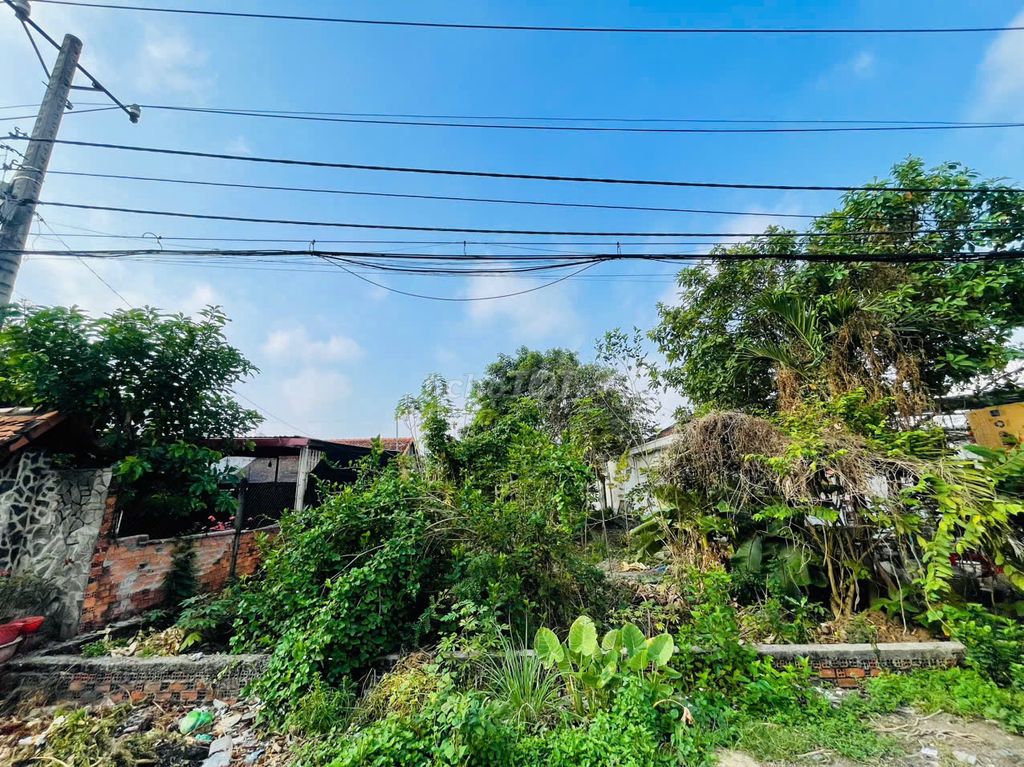 550TR – 408M2 -  MT ĐS23 TÂN THÔNG HỘI – NGANG 12M DÀI 34M – GIÁ MỀM
