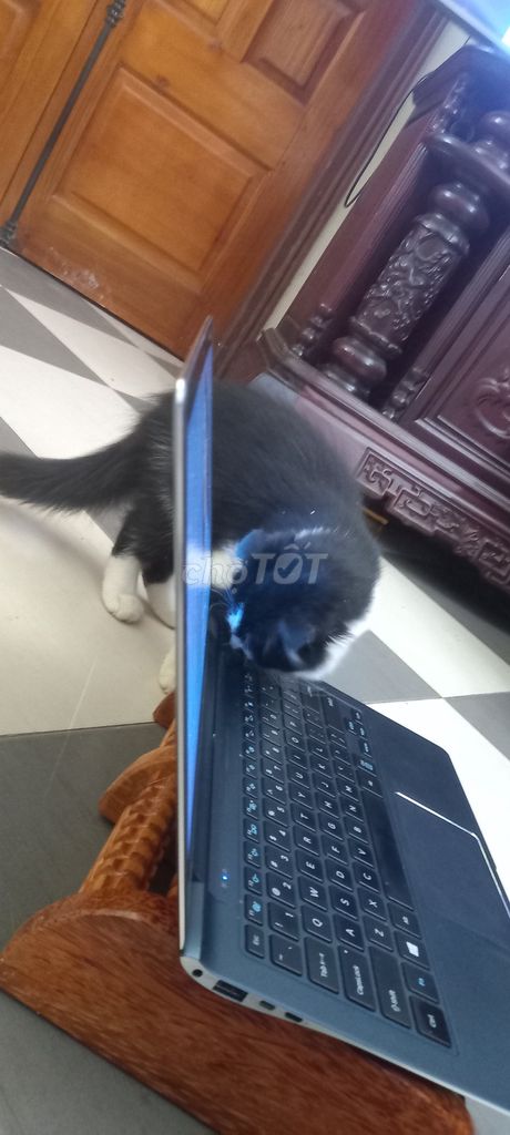 Laptop Samsung 2K Cảm ứng Đen. Mua bán Laptop tại Thành phố Tuyên Quang Tuyên Quang được đăng bởi Tên chưa cung cấp hình 1