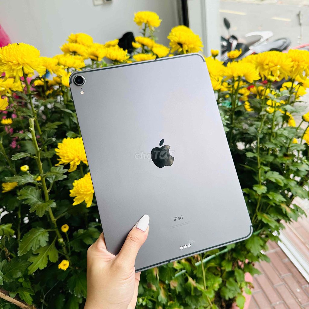 iPad Pro 2018 11in 64G Wifi + 4G Grey Pin Zin 97%