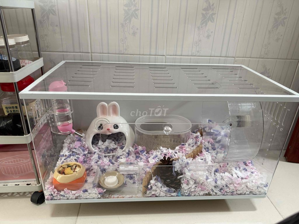 Chuột Hamster Bear. Mua bán Thú cưng khác tại Quận 4 Tp Hồ Chí Minh được đăng bởi Đinh Hoàng Hải Yến hình 1