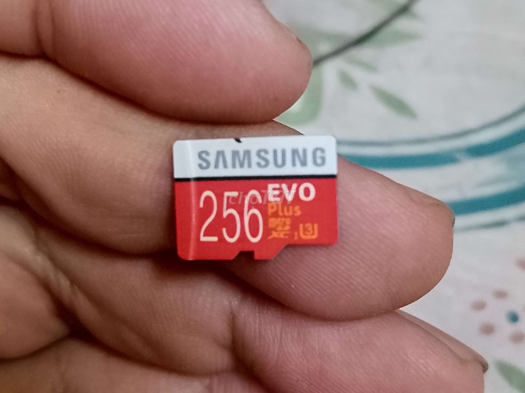 Thẻ nhớ Samsung EVO Plus 256GB Đã qua sử dụng. Mua bán Phụ kiện (Màn hình, Chuột...) tại Quận 5 Tp Hồ Chí Minh được đăng bởi Vi Nhất Tiếu hình 1