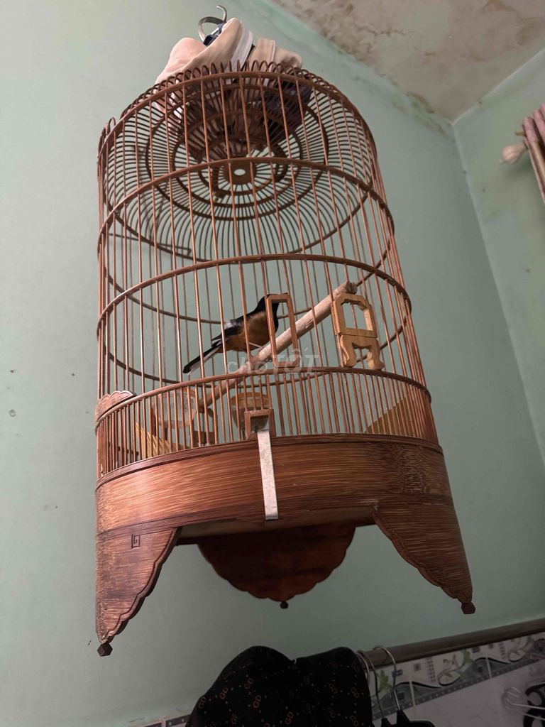 Lồng chim tre màu nâu. Mua bán Phụ kiện, Thức ăn, Dịch vụ tại Huyện Nhà Bè Tp Hồ Chí Minh được đăng bởi Lý Quốc Hoàng hình 1