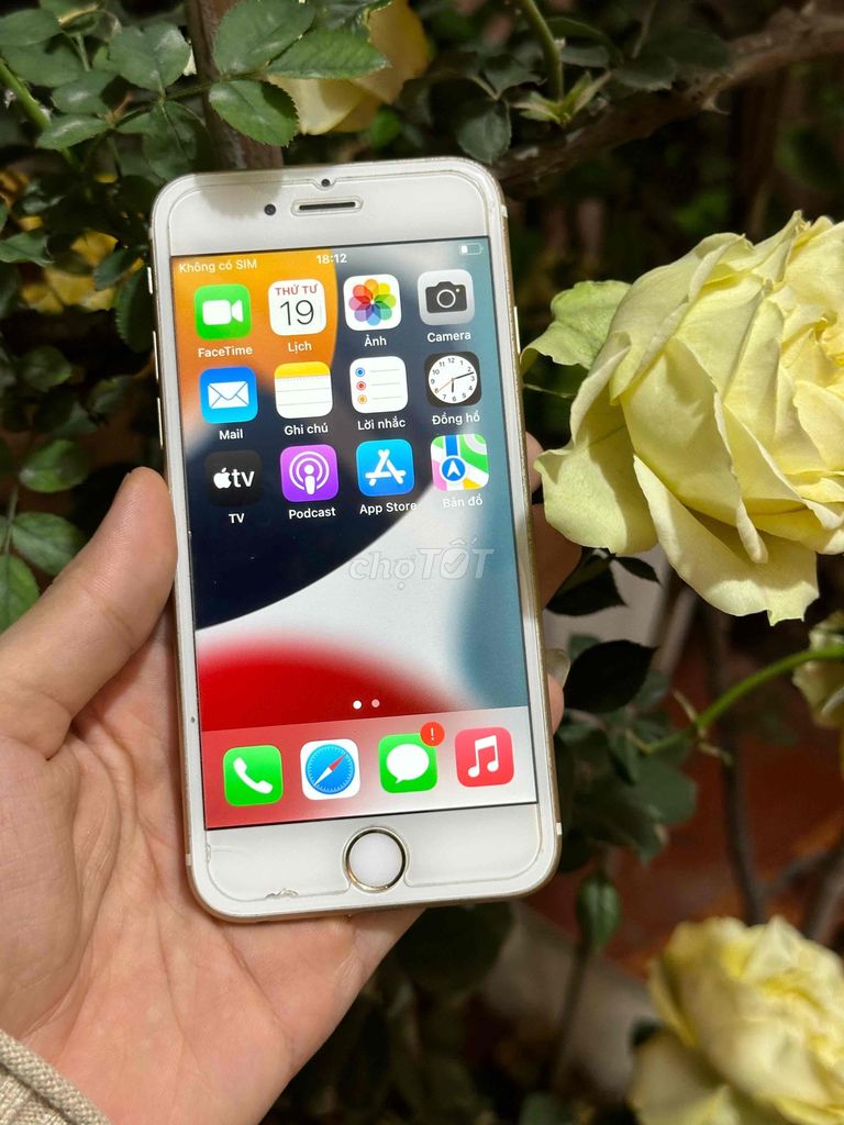 iPhone 6s 64Gb Gold