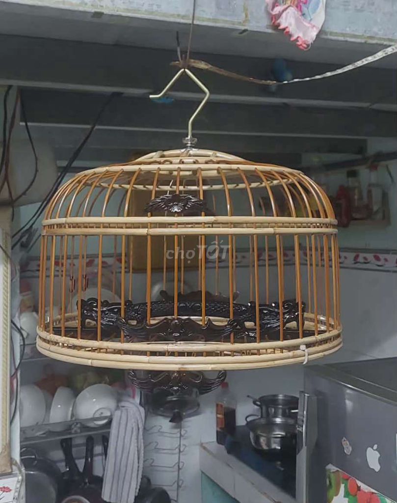 Lồng chim tre size 38 mới. Mua bán Phụ kiện, Thức ăn, Dịch vụ tại Thành phố Thủ Đức Tp Hồ Chí Minh được đăng bởi Luong Gja Long hình 1