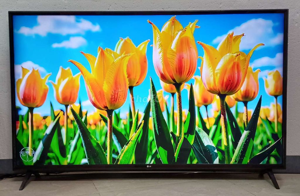Tivi wifi 4k LG màn mới nguyên seal có giọng nói. Mua bán Tivi, Âm thanh tại Quận Ninh Kiều Cần Thơ được đăng bởi Luật Nguyễn hình 1