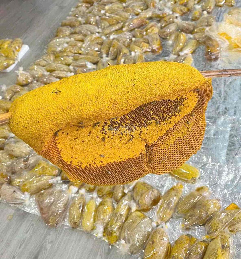 Mật ong ruồi. Mua bán Đồ ăn, thực phẩm và các loại khác tại Quận Hoàng Mai Hà Nội được đăng bởi Sen Vàng hình 3