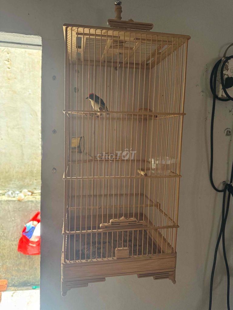 Lồng chim Tre nóc hộp 2 cửa. Mua bán Phụ kiện, Thức ăn, Dịch vụ tại Thành phố Biên Hòa Đồng Nai được đăng bởi Hùng Nguyễn hình 1