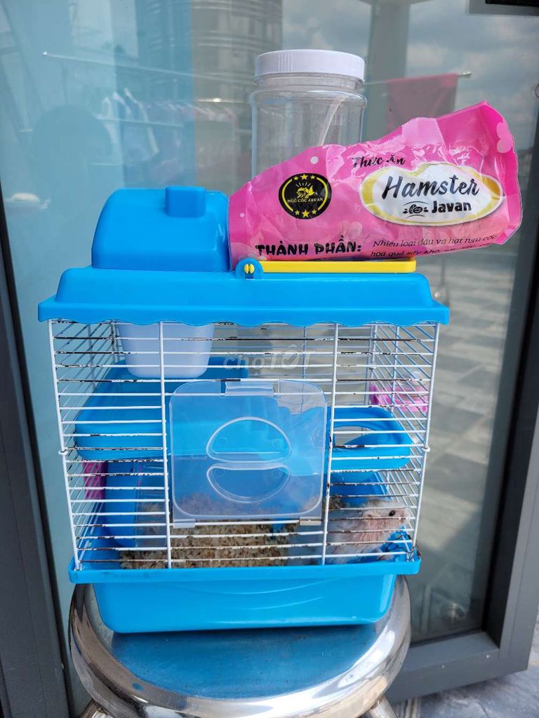 Chuột Hamster. Mua bán Thú cưng khác tại Quận 6 Tp Hồ Chí Minh được đăng bởi NGUYỄN VĂN TỐT hình 2