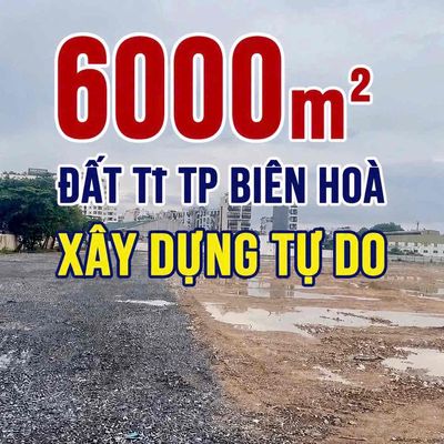 6000m2 đất Tp Biên Hoà.  Xây dựng kinh doanh tự do.