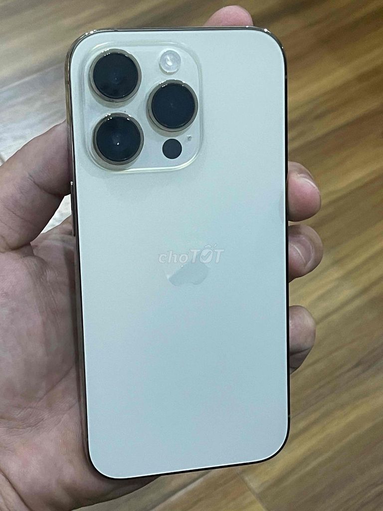 Apple iPhone 14 Pro 256GB màu Gold. Mua bán Điện thoại tại Quận Cẩm Lệ Đà Nẵng được đăng bởi Thanh  hình 1