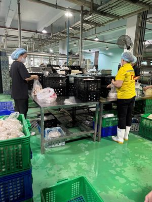 NAM-442K/12H-KCN TÂN BÌNH-ĐÓNG GÓI-THỜIVỤ LÂU DÀI