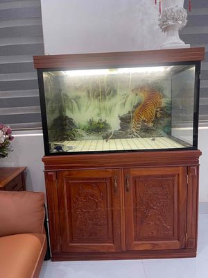 hồ cá. Mua bán Phụ kiện, Thức ăn, Dịch vụ tại Thành phố Đồng Xoài Bình Phước được đăng bởi Mr Ray