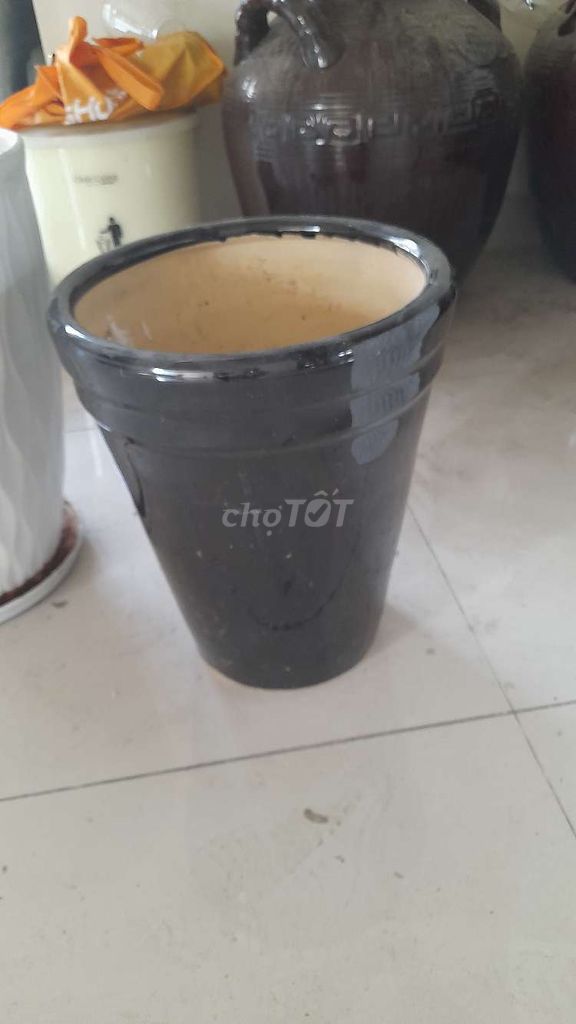 THANH LÝ CHẬU CÂY CẢNH NHƯ HÌNH CÒN RẤT TỐT