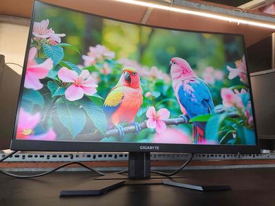 MÀN HÌNH GIGABYTE 27IN CONG 165HZ CHUYÊN GAME. Mua bán Phụ kiện (Màn hình, Chuột...) tại Quận Phú Nhuận Tp Hồ Chí Minh được đăng bởi tiến tài 770 nguyễn kiệm p4 quận phú nhuận