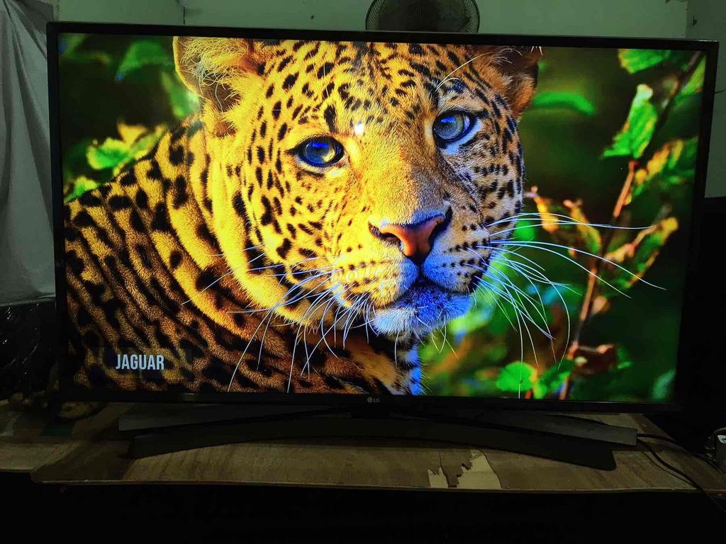 Tivi LG 43 inch 4K giọng nói bluetooth. Mua bán Tivi, Âm thanh tại Thành phố Bến Tre Bến Tre được đăng bởi Khang hình 1
