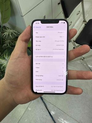 Iphone 12 Pro quốc tế 256Gb. Mua bán Điện thoại tại Quận Gò Vấp Tp Hồ Chí Minh được đăng bởi Tony