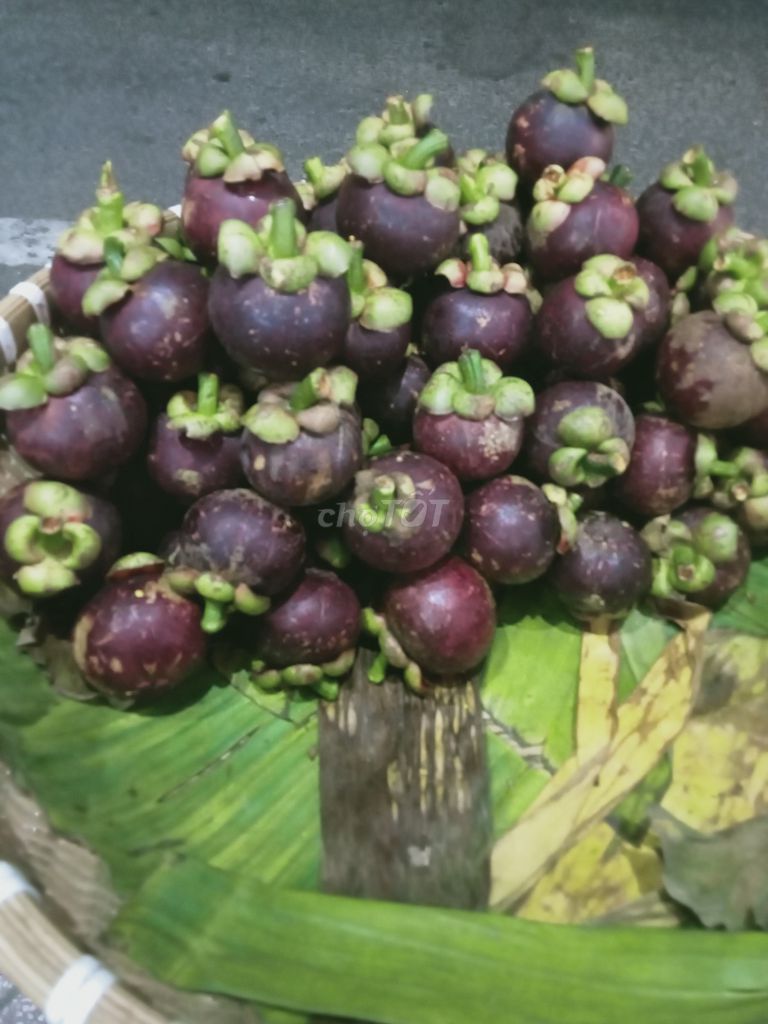 Măng cụt đầu mùa. Mua bán Đồ ăn, thực phẩm và các loại khác tại Quận 8 Tp Hồ Chí Minh được đăng bởi Phuong Mai hình 1