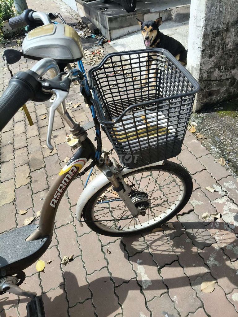 Cần bán xe đạp điện Asama  chính hãng. Mua bán Xe điện tại Thành phố Thủ Dầu Một Bình Dương được đăng bởi Hoàng  hình 5