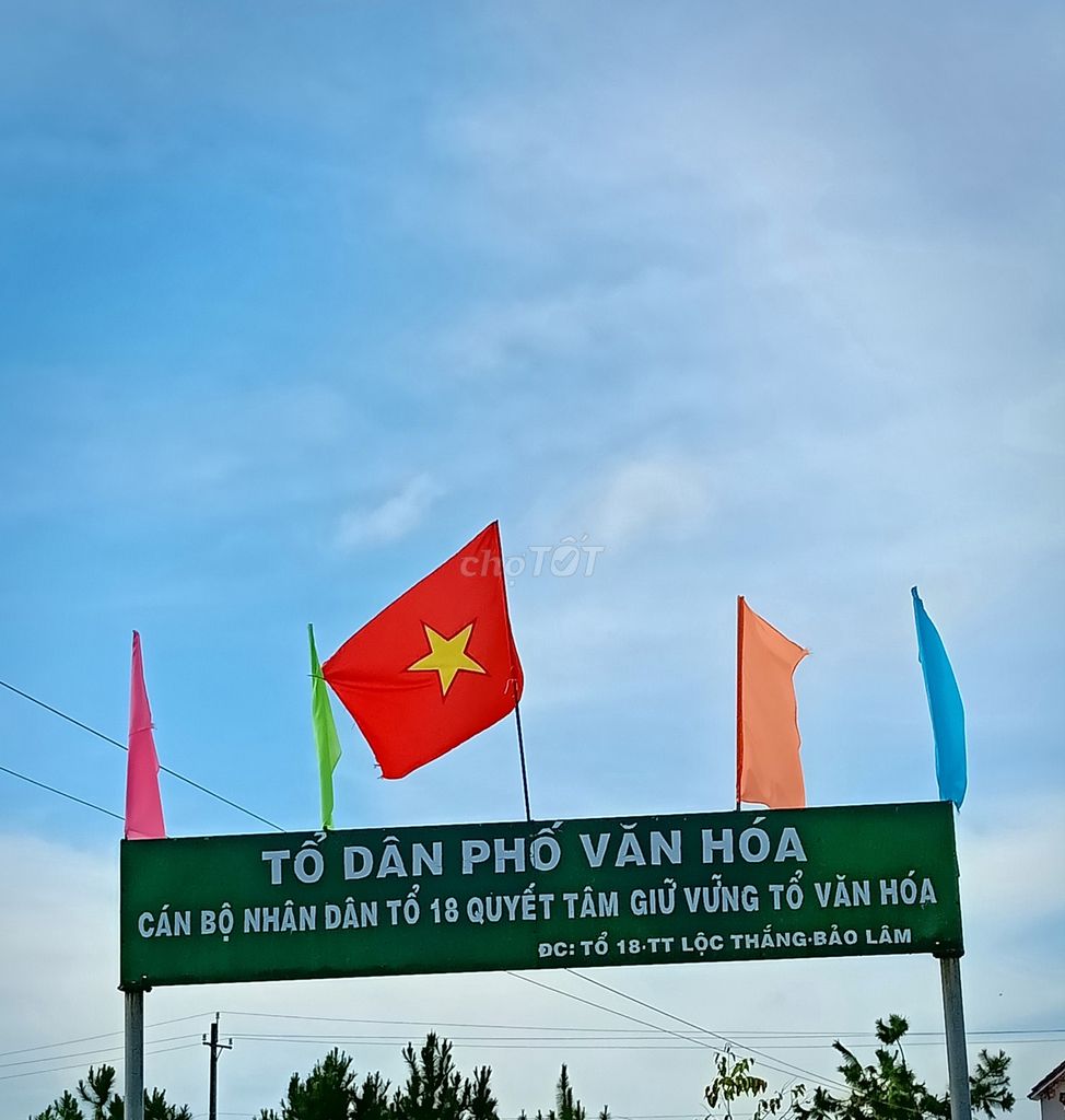 Đất nền khu tái định cư Lộc Thắng, Bảo Lâm. MT Bà Triệu 12x30=360m2