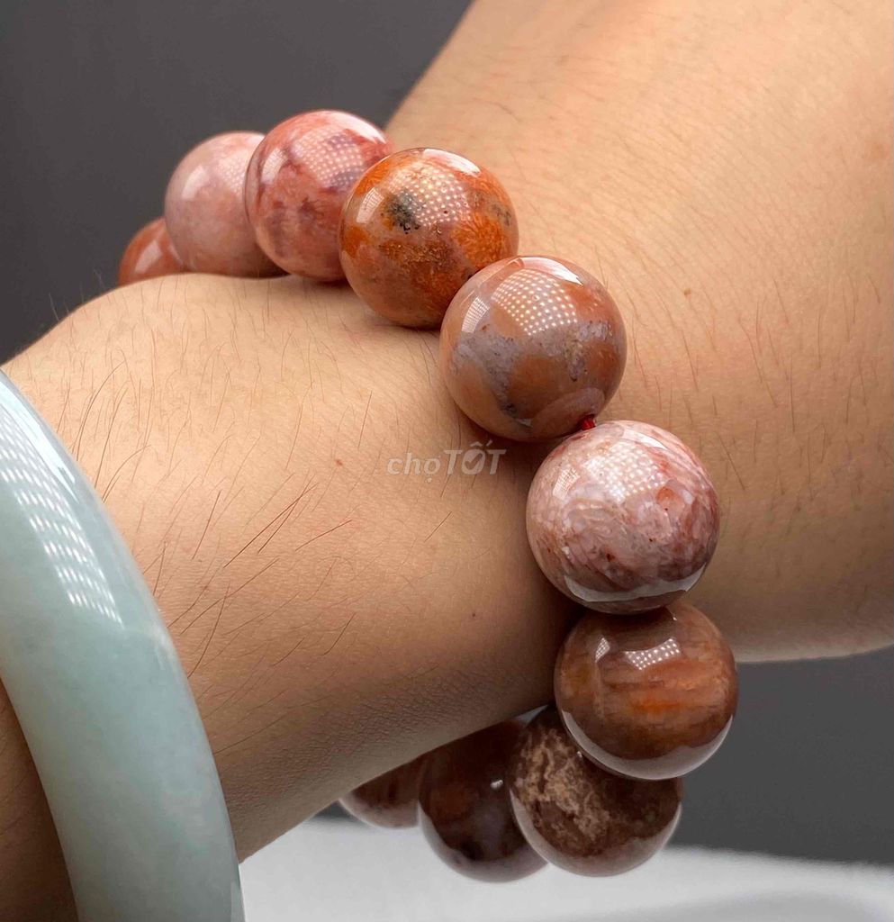 Vòng tay Nam San Hô Hoá Thạch 16mm. Mua bán Đồ sưu tầm, đồ cổ tại Quận 5 Tp Hồ Chí Minh được đăng bởi Đá Phong Thuỷ Quận 5 hình 1