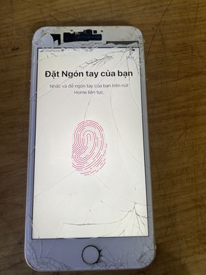 Apple iPhone 7 Plus 32GB QT