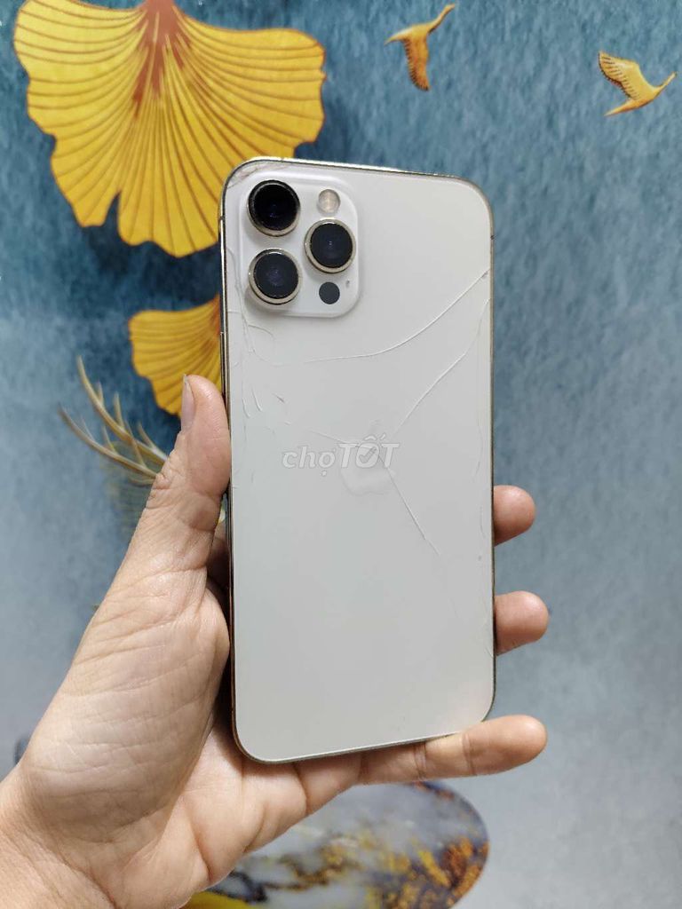  iPhone 12 Pro Max 128GB Vàng. Mua bán Điện thoại tại Thành phố Đồng Xoài Bình Phước được đăng bởi Mai hình 1