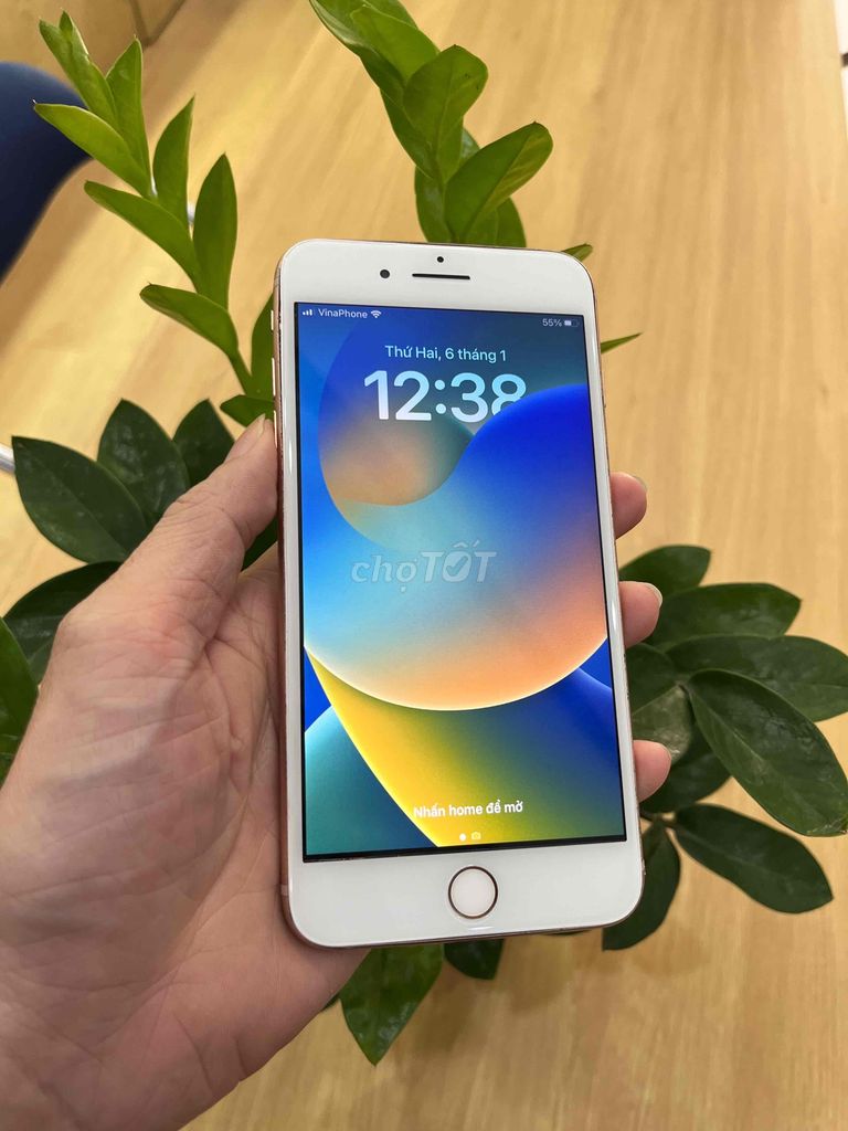 ❤️❤️Iphone 8plus 64G quốc tế, giá rẻ❤️❤️