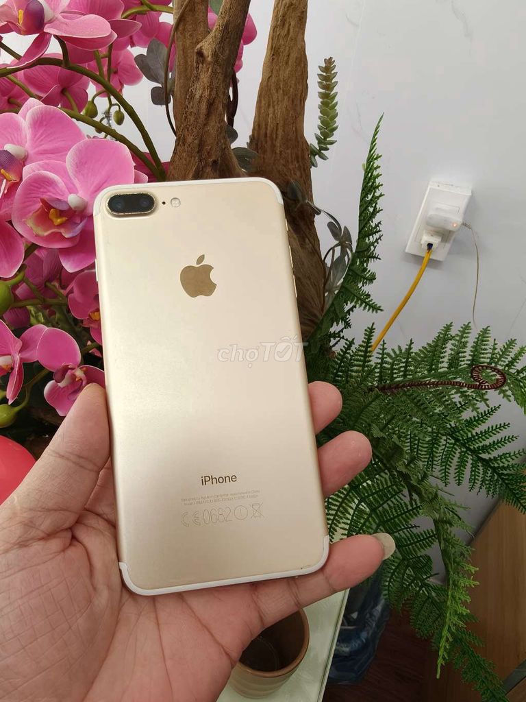 Apple iPhone 7 Plus 256GB quốc tế full. Mua bán Điện thoại tại Thành phố Buôn Ma Thuột Đắk Lắk được đăng bởi Tèo Điện Thoại  hình 1