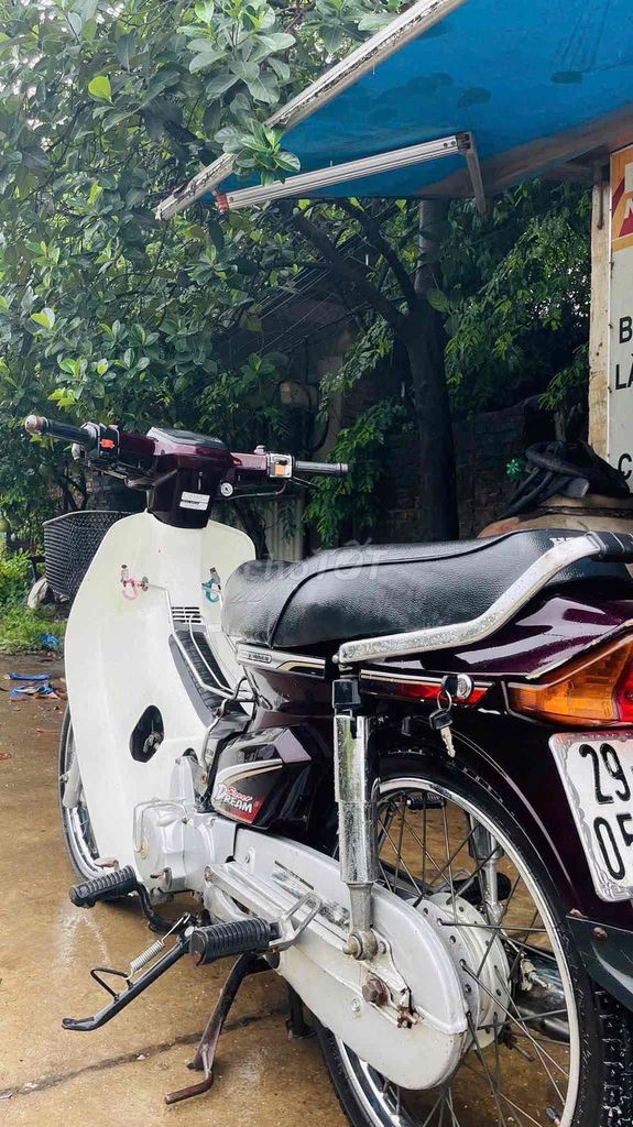 Номер Honda Dream белый, красный сливовый