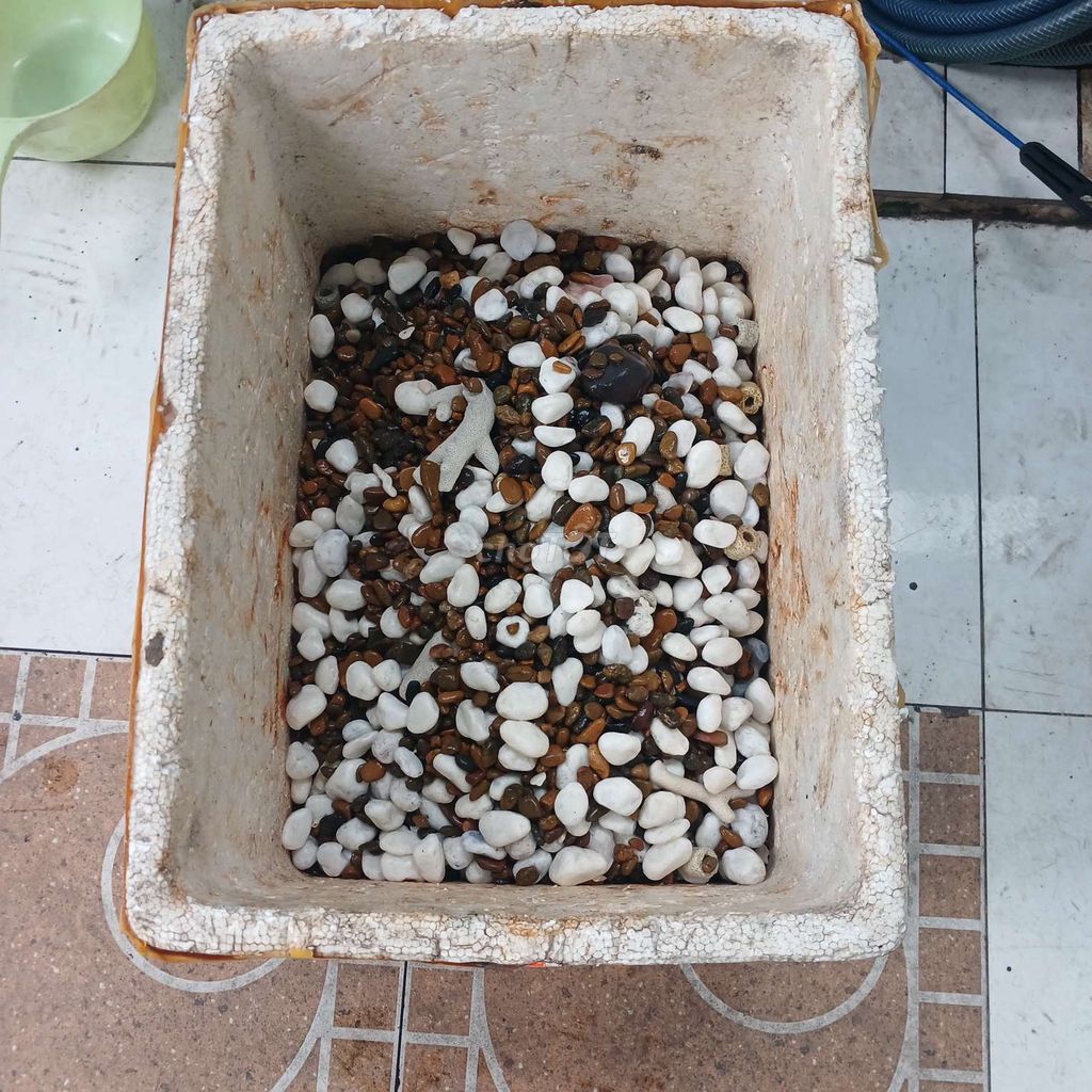 Sỏi trang trí bể cá cảnh 20kg nhiều màu. Mua bán Phụ kiện, Thức ăn, Dịch vụ tại Quận Bình Tân Tp Hồ Chí Minh được đăng bởi Lê kim phát hình 1