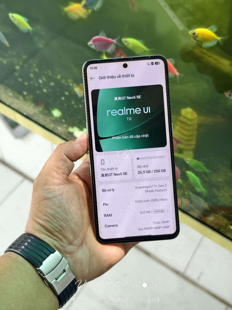 Realme GT Neo 5 SE 256GB. Mua bán Điện thoại tại Thành phố Mỹ Tho Tiền Giang được đăng bởi TS9Mobile hình 1