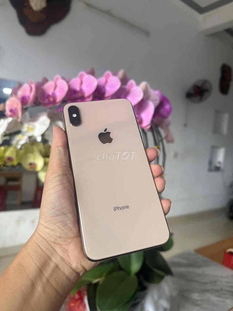 iphone xsm 256G gold - màn thay GX. Mua bán Điện thoại tại Thành phố Buôn Ma Thuột Đắk Lắk được đăng bởi phương  hình 1