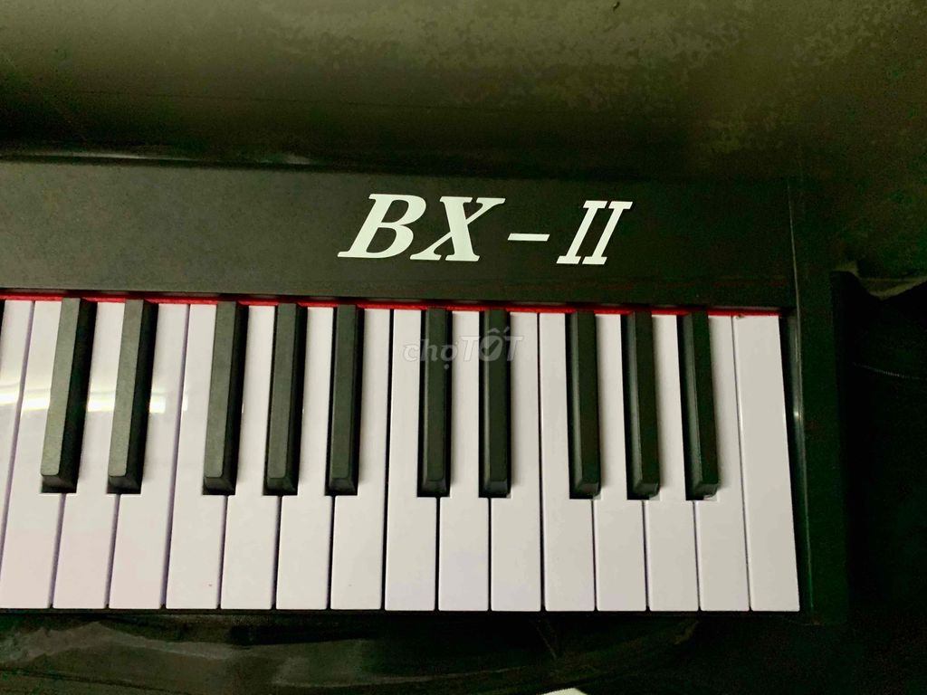 ĐÀN PIANO BX-2 GIÁ HẠT DẺ TẠI TPHCM