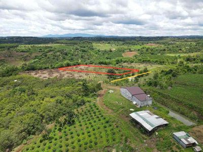 Đất giá sinh viên mua đầu tư rất lời. Mua bán đất tại Huyện Đắk Mil Đắk Nông được đăng bởi Thức