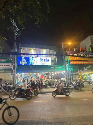 ốc lúa logo