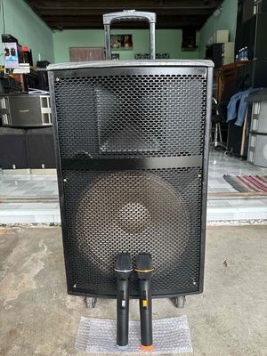 loa kéo gổ bass 40, thùng loa rất nặng