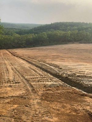 BÁN LỖ 90 TRIỆU LÔ ĐẤT 1200M2  SÁT QUỐC LỘ 14, ĐỒNG PHÚ, BÌNH PHƯỚC. Mua bán đất tại Huyện Đồng Phú Bình Phước được đăng bởi Ngọc Hằng