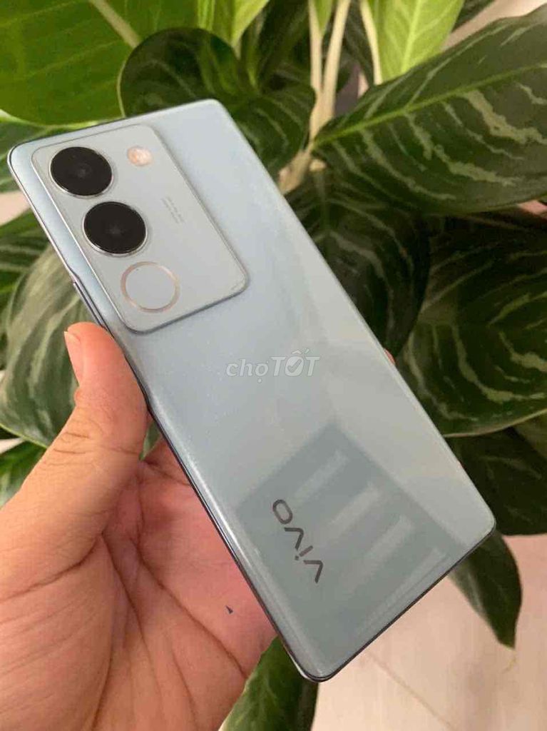 Vivo S17T 12/256 nguyên zin . ko ám ố . ko bớt