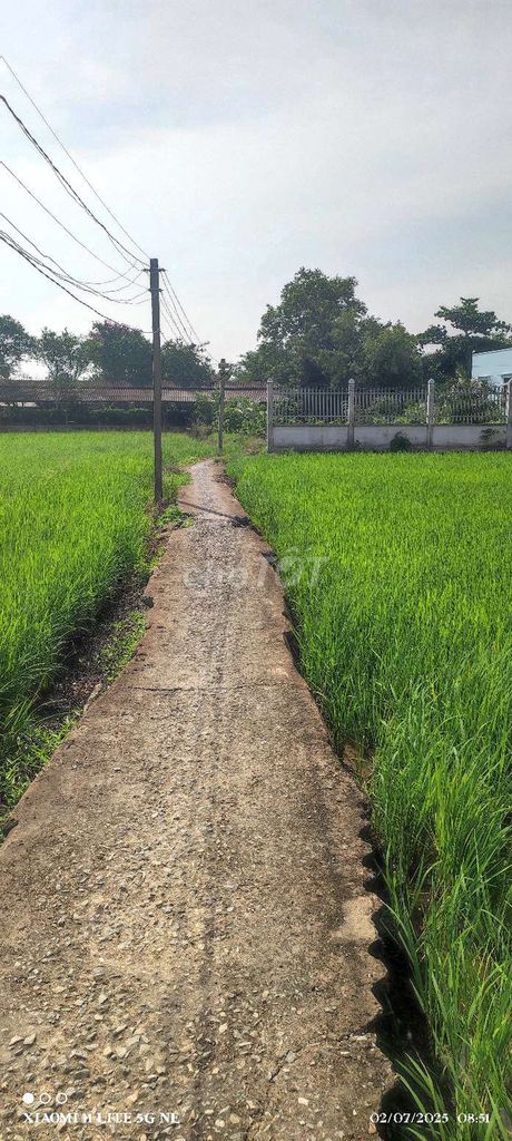 Nhà cấp 4 cũ bán gấp