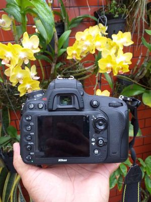 Máy ảnh Nikon D600 lens 24/85 VR