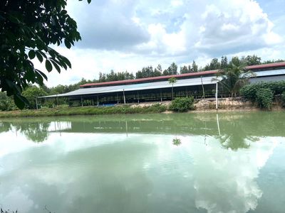 Trang trại 2ha cạnh Củ Chi, quy hoạch khu dân cư, thị xã Trảng Bàng.. Mua bán đất tại Huyện Trảng Bàng Tây Ninh được đăng bởi Mr Tâm