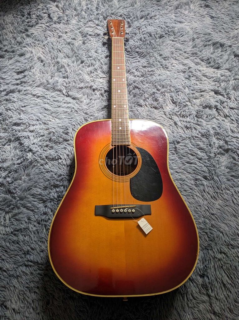 Guitar Morris W20