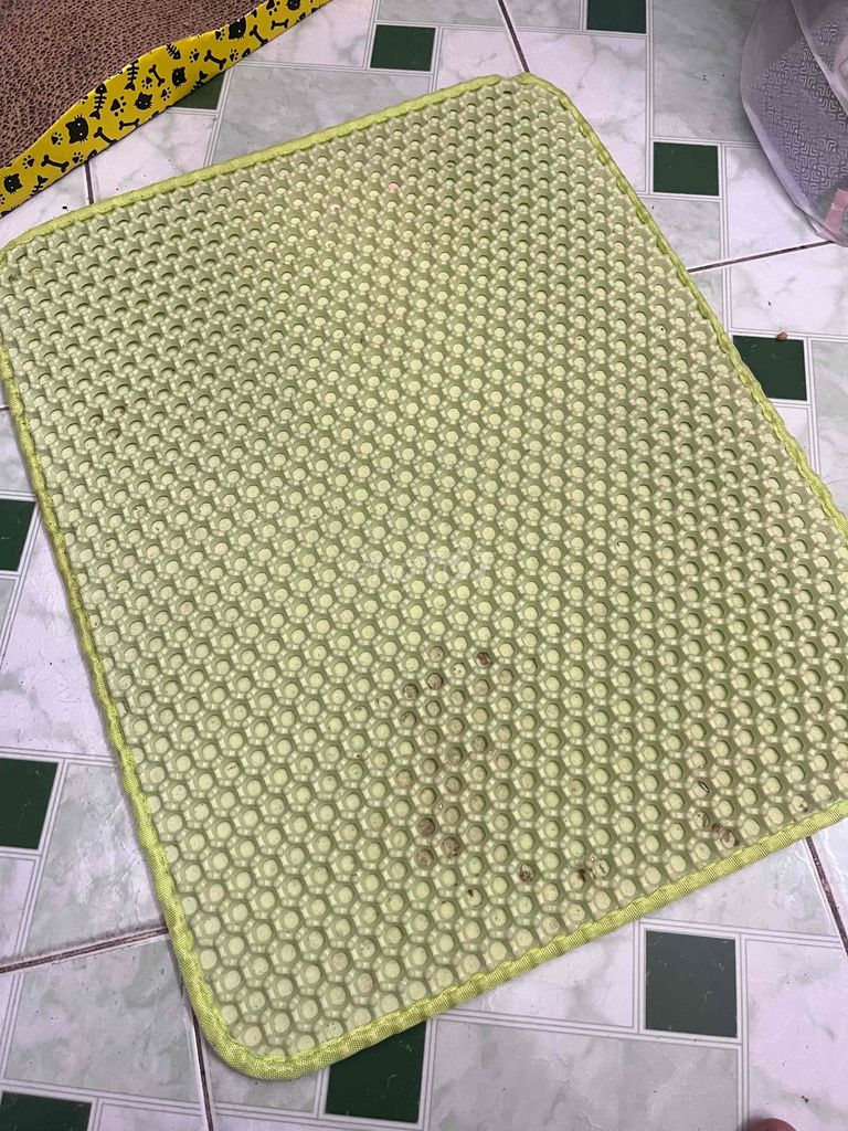 Thảm cát mèo Xanh lá Bền 50*40. Mua bán Phụ kiện, Thức ăn, Dịch vụ tại Quận 3 Tp Hồ Chí Minh được đăng bởi Nguyễn Phương Thảo hình 1