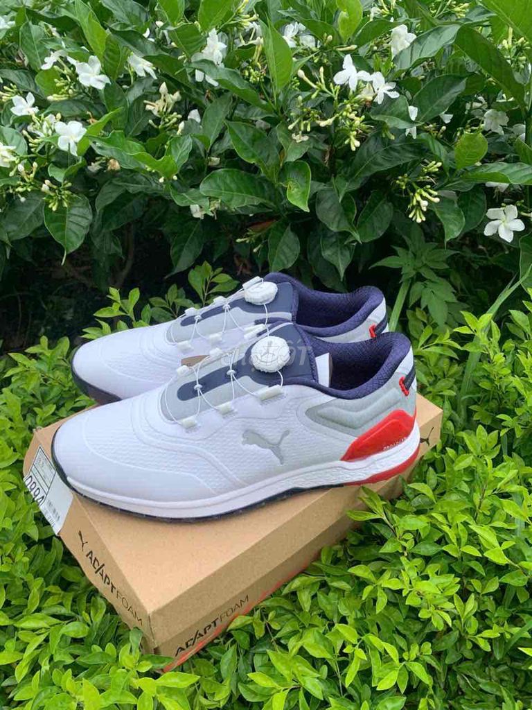 Giày golf Puma Nam Trắng Da cao cấp. Mua bán Giày dép tại Huyện Đông Anh Hà Nội được đăng bởi golf nhập khẩu AZ hình 1