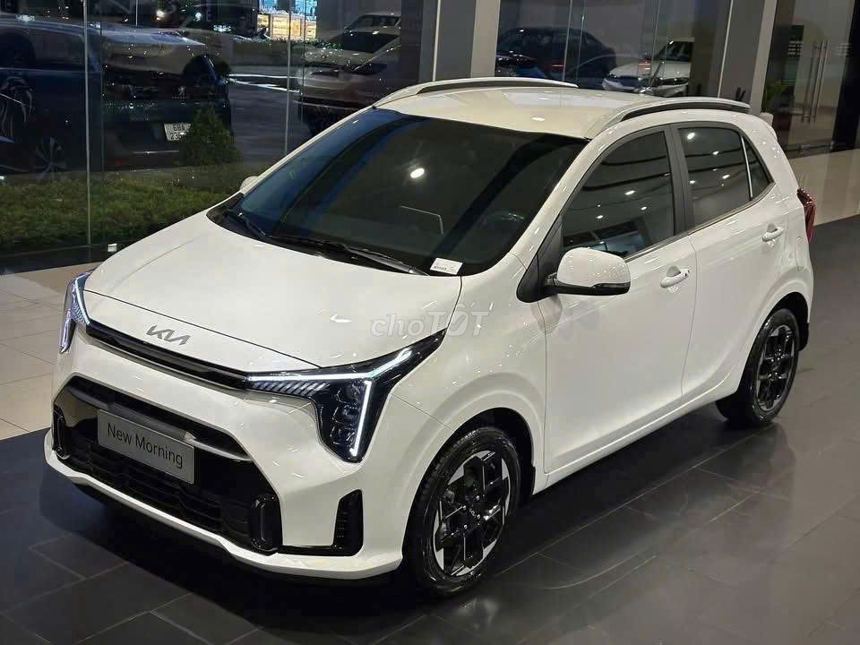 Kia Morning 2025 - NEW MORNING MỚI GIÁ TỐT. Mua bán Ô tô tại Quận Gò Vấp Tp Hồ Chí Minh được đăng bởi Phụng KIA MAZDA GÒ VẤP hình 1