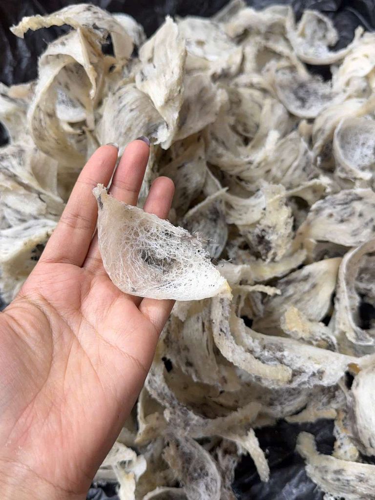 Tổ yến Thô. Mua bán Đồ ăn, thực phẩm và các loại khác tại Quận Gò Vấp Tp Hồ Chí Minh được đăng bởi BÙI THỊ YẾN OANH  hình 3