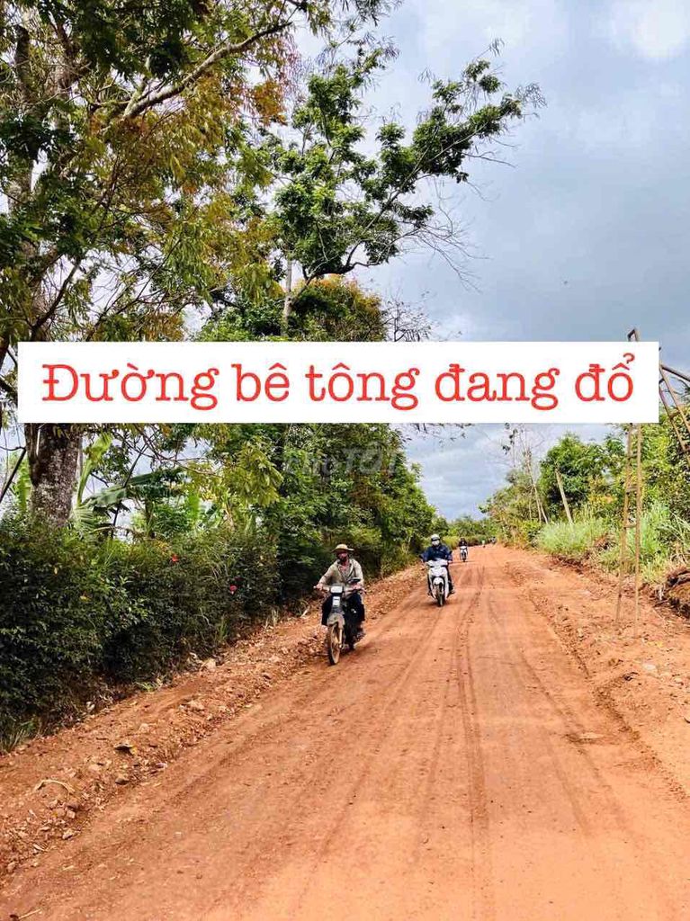 Bán đất thị trấn giá rẻ. Mua bán đất tại Huyện Ea Kar Đắk Lắk được đăng bởi Tứ Tài Lộc hình 3