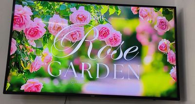 Samsung smart TV 49in. Mua bán Tivi, Âm thanh tại Thành phố Buôn Ma Thuột Đắk Lắk được đăng bởi ngọc hân